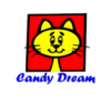 Lowongan Kerja Kepala Gudang – Admin Keuangan – Admin Sales – Sales Maintenance – Driver di Candy Dream